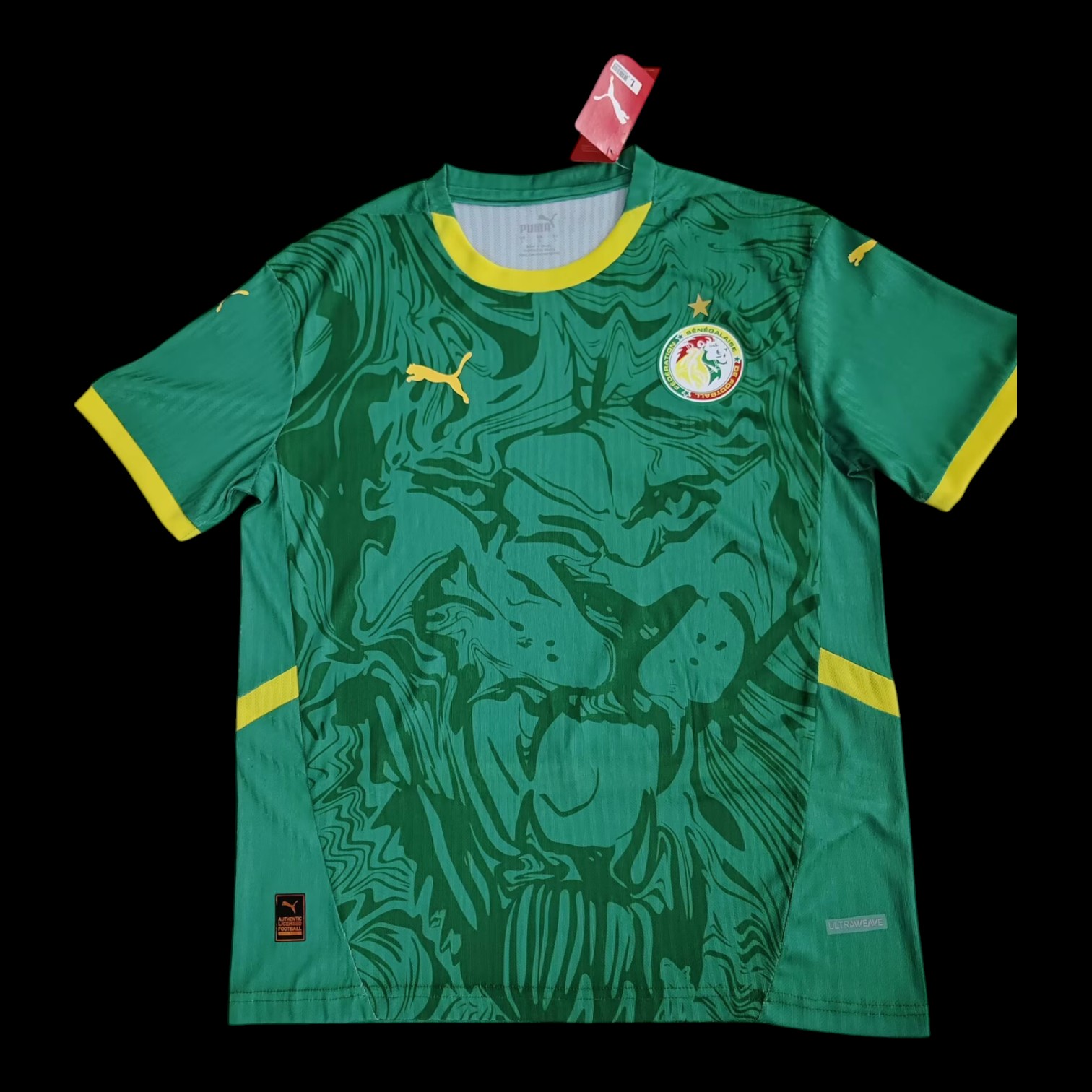 Sénégal Maillot Extérieur 25/26