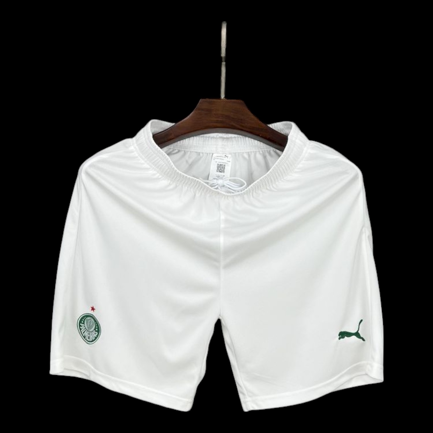 Palmeiras Short 25/26