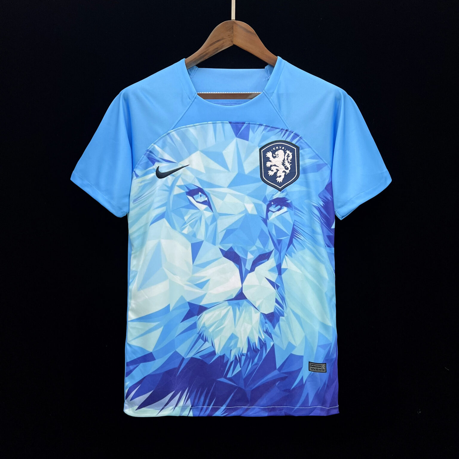 Pays Bas Maillot Concept 24/25