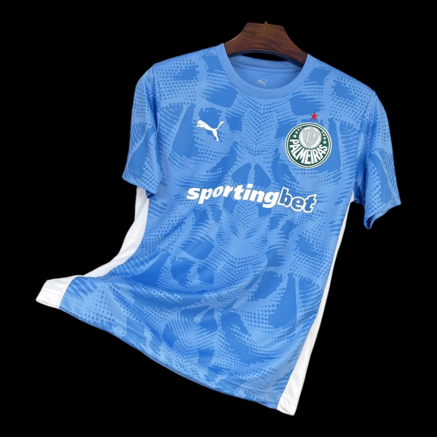 Palmeiras Maillot Gardien 25/26