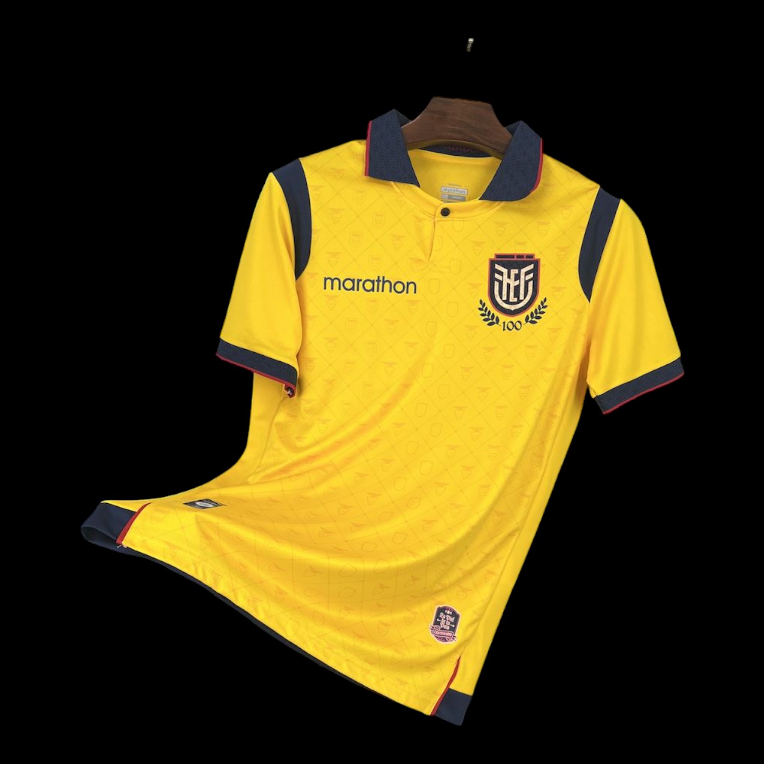 Equateur Maillot Domicile 25/26